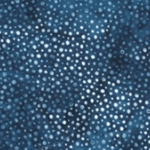 Batik Dot Indigo