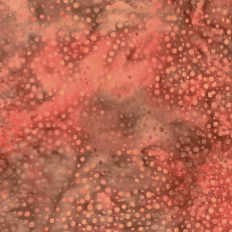 Batik Dot Persimmon