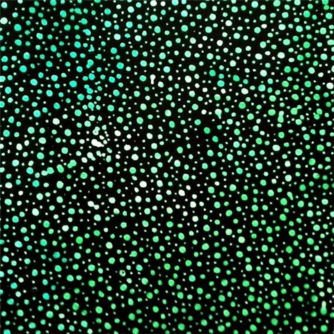 Batik Dot Tidepool