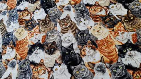 Cats - Fat Quarter