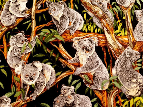 Koalas Black - Fat Quarter