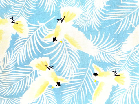 Soaring Cockatoos Flying &amp; Ferns