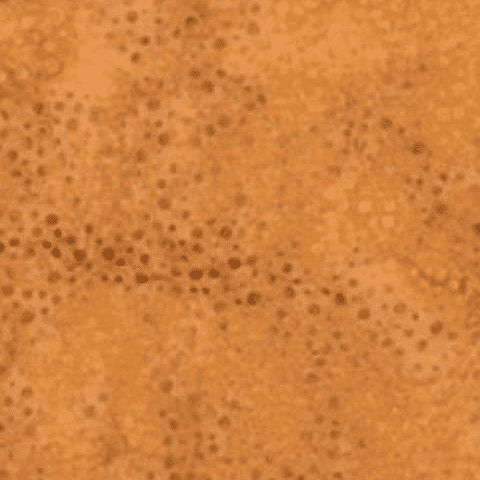 Batik Dot Sahara